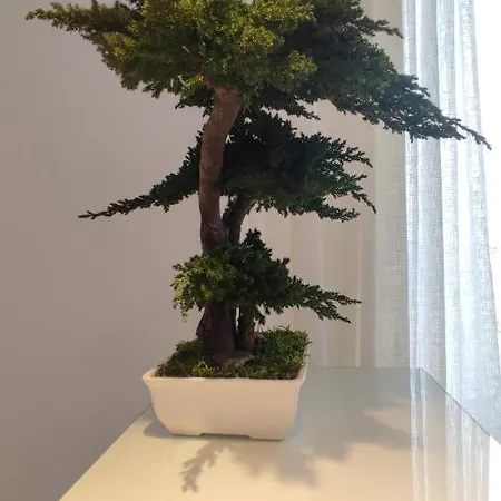 L'ame Bleue * 카시스